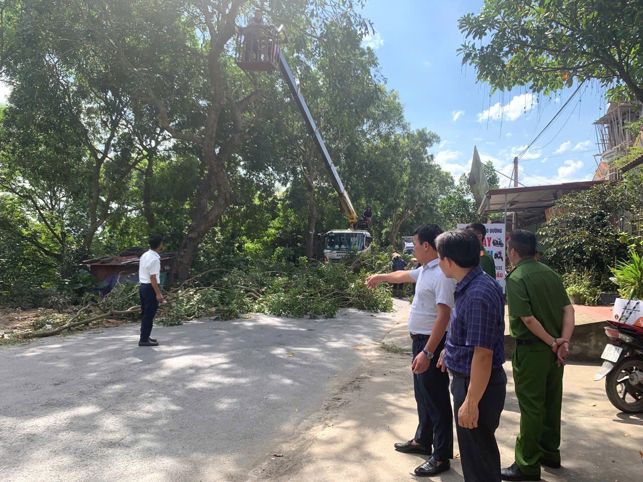 Các đồng chí lãnh đạo xã đi kiểm tra thực tế tiến độ phát quang cây xanh, cành cây che khuất tầm nhìn trên các tuyến đường chính của địa phương